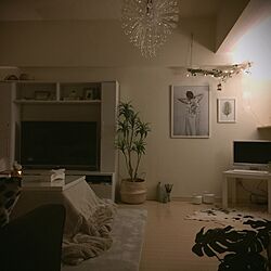 夜のリビング/IKEA 照明/IKEA/流木オブジェ/ポスター...などのインテリア実例 - 2017-04-12 23:23:01