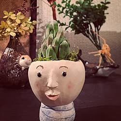 多肉植物/一輪挿し/一人暮らし/植物/陶器...などのインテリア実例 - 2015-11-16 00:27:09