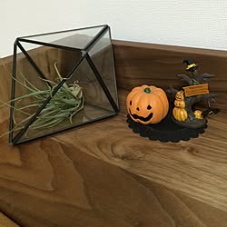 棚/ハロウィン/ウォールナット家具/シンプルインテリア/エアプランツのインテリア実例 - 2016-09-22 18:34:50