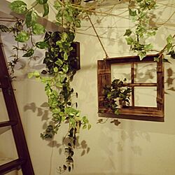 壁/天井/植物/雑貨のインテリア実例 - 2014-11-18 00:08:38
