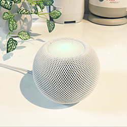 Siri/Home Pod mini/スマートスピーカー/Apple/一人暮らし...などのインテリア実例 - 2020-11-28 21:06:16