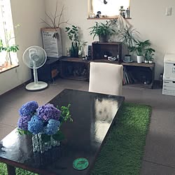 生花/観葉植物/部屋全体のインテリア実例 - 2016-06-23 14:34:38