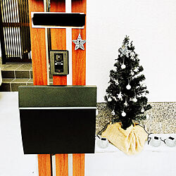 クリスマス/ダイソー/クリスマスツリー/ライトアップ/玄関/入り口のインテリア実例 - 2021-12-21 17:45:47