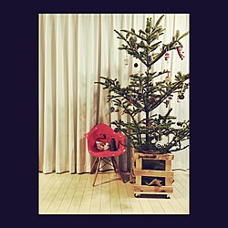 リビング/ステンシル/麻袋/鉢カバーDIY /クリスマスツリー...などのインテリア実例 - 2015-12-11 22:35:19
