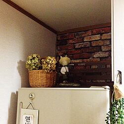 キッチン/れんが壁紙/冷蔵庫の上のインテリア実例 - 2015-12-10 20:51:29
