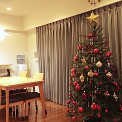 リビング/クリスマスツリーのインテリア実例 - 2016-12-08 00:07:12