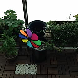 観葉植物/DIY/バルコニーのインテリア実例 - 2015-05-01 19:31:45