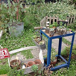 ガーデン/多肉植物/日光浴のインテリア実例 - 2013-06-17 15:11:54