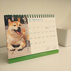 リビング/カレンダー/犬と暮らすのインテリア実例 - 2018-01-10 22:15:06