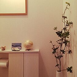バス/トイレ/IKEA/植物のインテリア実例 - 2014-03-16 22:37:00