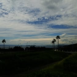 壁/天井/高速道路のparking/今日は休み♡/空色と雲のコントラスト/壁がさみしい(._.)...などのインテリア実例 - 2015-09-13 00:15:18