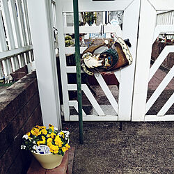 玄関/入り口/寂しい庭先/冬の間のサンタさん/黄色い花のインテリア実例 - 2021-01-13 10:23:54
