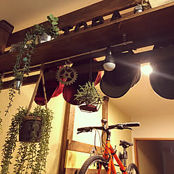 自転車壁掛け/パーテーションDIY/DIY/一人暮らし/観葉植物...などのインテリア実例 - 2019-11-17 01:22:18