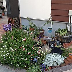 玄関/入り口/gardenのインテリア実例 - 2014-05-23 18:21:56