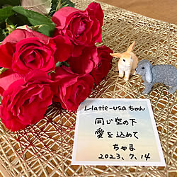 バス/トイレ/出会えたことに感謝/同じ空の下/ミニチュア/Llatte-usaちゃんのお誕生日...などのインテリア実例 - 2023-07-14 07:37:00