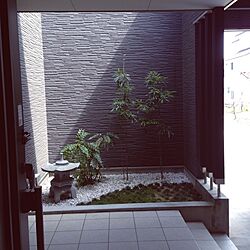 玄関/入り口/植物のインテリア実例 - 2014-03-29 12:12:43