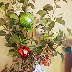 リビング/クリスマスツリーもどき/ニトリのフェイクグリーン/ニトリのクリスマス飾りのインテリア実例 - 2017-12-16 12:31:44
