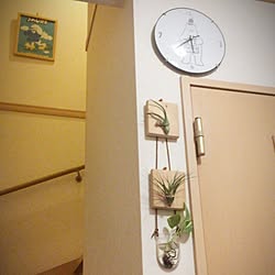 壁/天井/観葉植物/3COINS/雑貨/DIY...などのインテリア実例 - 2016-11-05 17:42:39