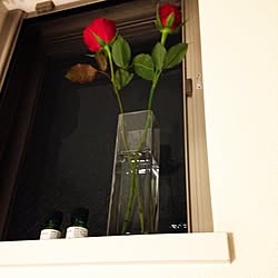 バラ/IKEAの花瓶/初めての一人暮らし/１R/一人暮らし...などのインテリア実例 - 2016-03-24 01:34:51