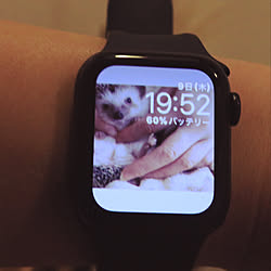 Apple 大好き/Apple Watch/一人暮らし/1LDK/1LDK 1人暮らし...などのインテリア実例 - 2021-12-09 20:21:18