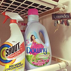 バス/トイレ/洗剤ボトル/Downy/SHOUTのインテリア実例 - 2017-04-02 14:51:26