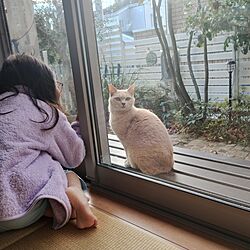 玄関/入り口/猫飼いたい子のインテリア実例 - 2023-12-01 08:28:01