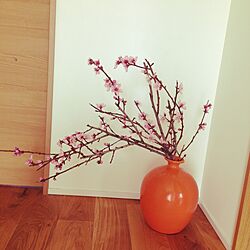 玄関/入り口/桜のインテリア実例 - 2015-04-24 23:47:26