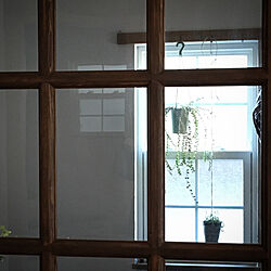 玄関/入り口/フック/インテリアグリーン/ガラス窓/ヴィンテージ...などのインテリア実例 - 2018-03-18 01:12:26