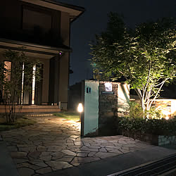 ライトアップ/シンボルツリー/イベントに参加/ガーデニング/庭先の花壇...などのインテリア実例 - 2021-05-29 18:57:27