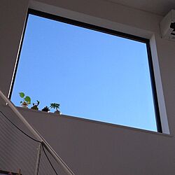 壁/天井/窓/観葉植物/階段のインテリア実例 - 2014-09-25 08:13:38