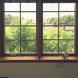 リビング/窓辺/観葉植物のインテリア実例 - 2016-09-10 12:33:00