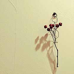 壁/天井/植物のインテリア実例 - 2014-11-15 22:22:41