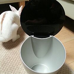 キッチン/ウサギのインテリア実例 - 2014-01-19 20:57:29
