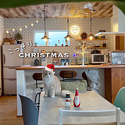 クリスマス/カフェ風/カフェみたいな暮らし/カフェ風インテリア/猫と暮らす家...などのインテリア実例 - 2023-11-11 01:46:59