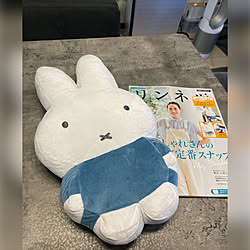 リンネル付録/miffy/縦長の部屋/グレー好き♡/おうち時間...などのインテリア実例 - 2022-08-27 15:05:12