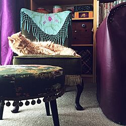 リビング/麦たん/猫と暮らす。/ヴィンテージ/リメイク家具のインテリア実例 - 2016-07-01 22:54:06