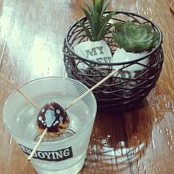 机/フェイクグリーン/DIY/カフェ風インテリアを目指して/セリアの転写シール...などのインテリア実例 - 2016-12-15 17:15:51