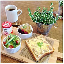 キッチン/セリア/プミラ/breakfastのインテリア実例 - 2014-05-18 10:09:30
