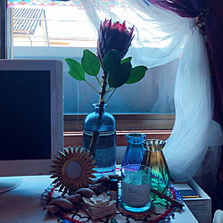 プロテア/お花のある暮らし/お花のある生活/スリコの花瓶/机のインテリア実例 - 2021-10-07 14:29:34