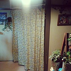 バス/トイレ/目隠しカーテン(手縫い)のインテリア実例 - 2017-06-13 22:23:13