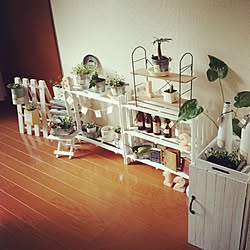 リビング/雑貨/植物/DIY/手作り...などのインテリア実例 - 2013-12-20 20:39:51