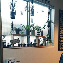 壁/天井/窓辺の棚DIY♪/IKEA/3coins♡/nanakoちゃんのプラントハンガー...などのインテリア実例 - 2016-03-26 07:45:17