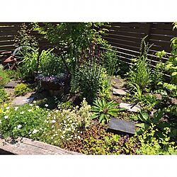 庭/フォーカルポイント/ガーデニング/植物のある暮らし/庭づくり...などのインテリア実例 - 2017-06-19 14:03:47