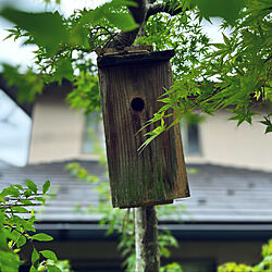 鳥の巣箱/庭/日本庭園/玄関/入り口のインテリア実例 - 2022-08-06 16:19:26