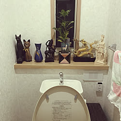 観葉植物/バス/トイレのインテリア実例 - 2019-11-12 18:18:47