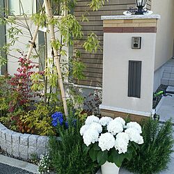 玄関/入り口/自然のインテリア実例 - 2017-04-24 08:01:05