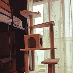 ベッド周り/猫との生活/一人暮らし/1K/キャットタワーのインテリア実例 - 2016-07-19 23:33:52