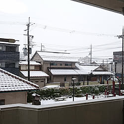 玄関/入り口/団地住まい/北欧/北欧好き/バルコニーからの景色...などのインテリア実例 - 2018-12-28 08:29:56