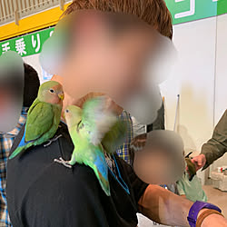 インテリアじゃなくてごめんなさい/ふれあい/インコ/ふるさと村/秋田...などのインテリア実例 - 2019-05-07 09:15:24