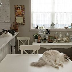 机/やっぱり猫が好き/ねこばかりすみませんm(._.)m/ぽて猫部/IKEA...などのインテリア実例 - 2016-04-02 08:32:40